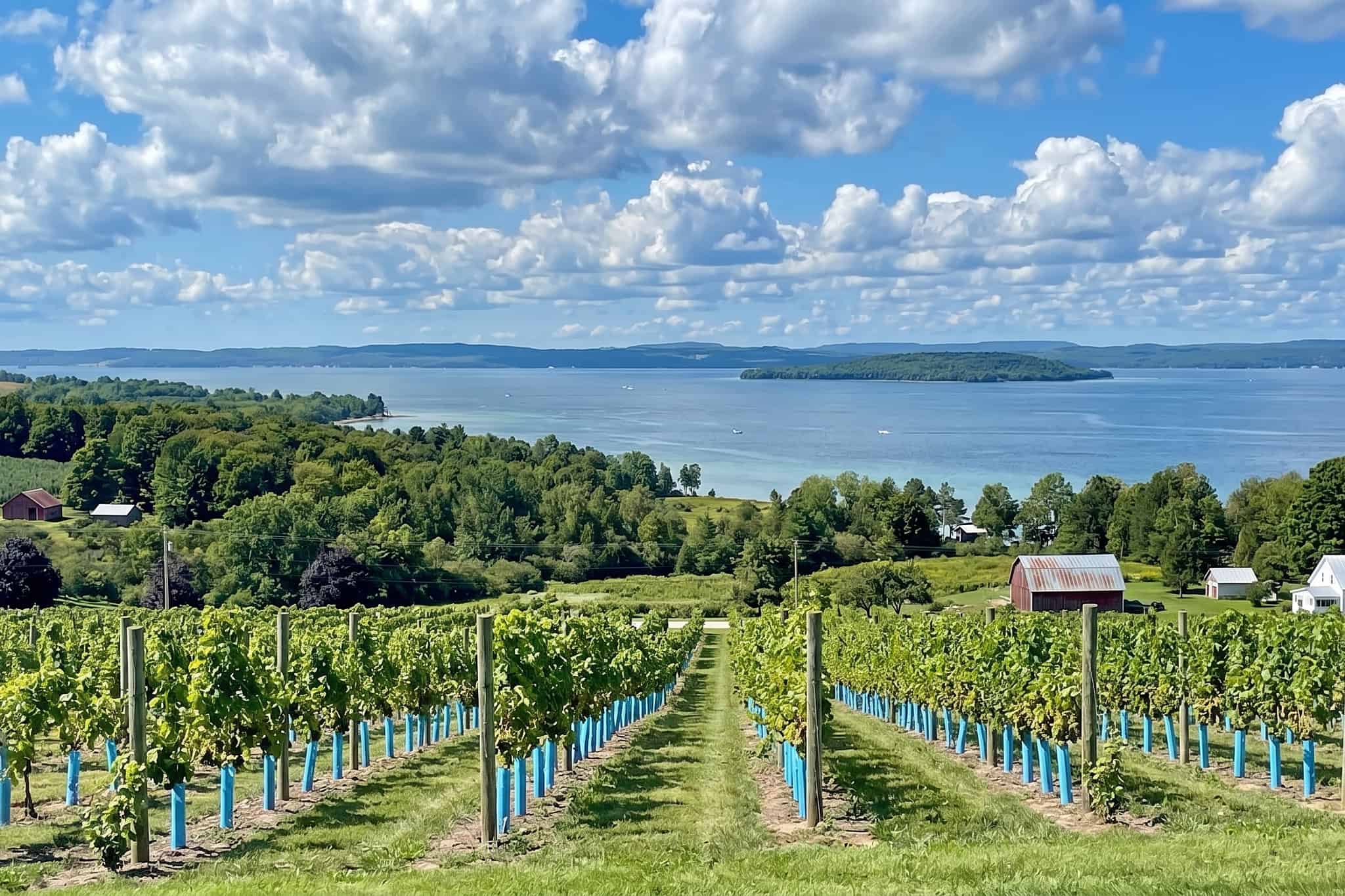 OMP Wineries